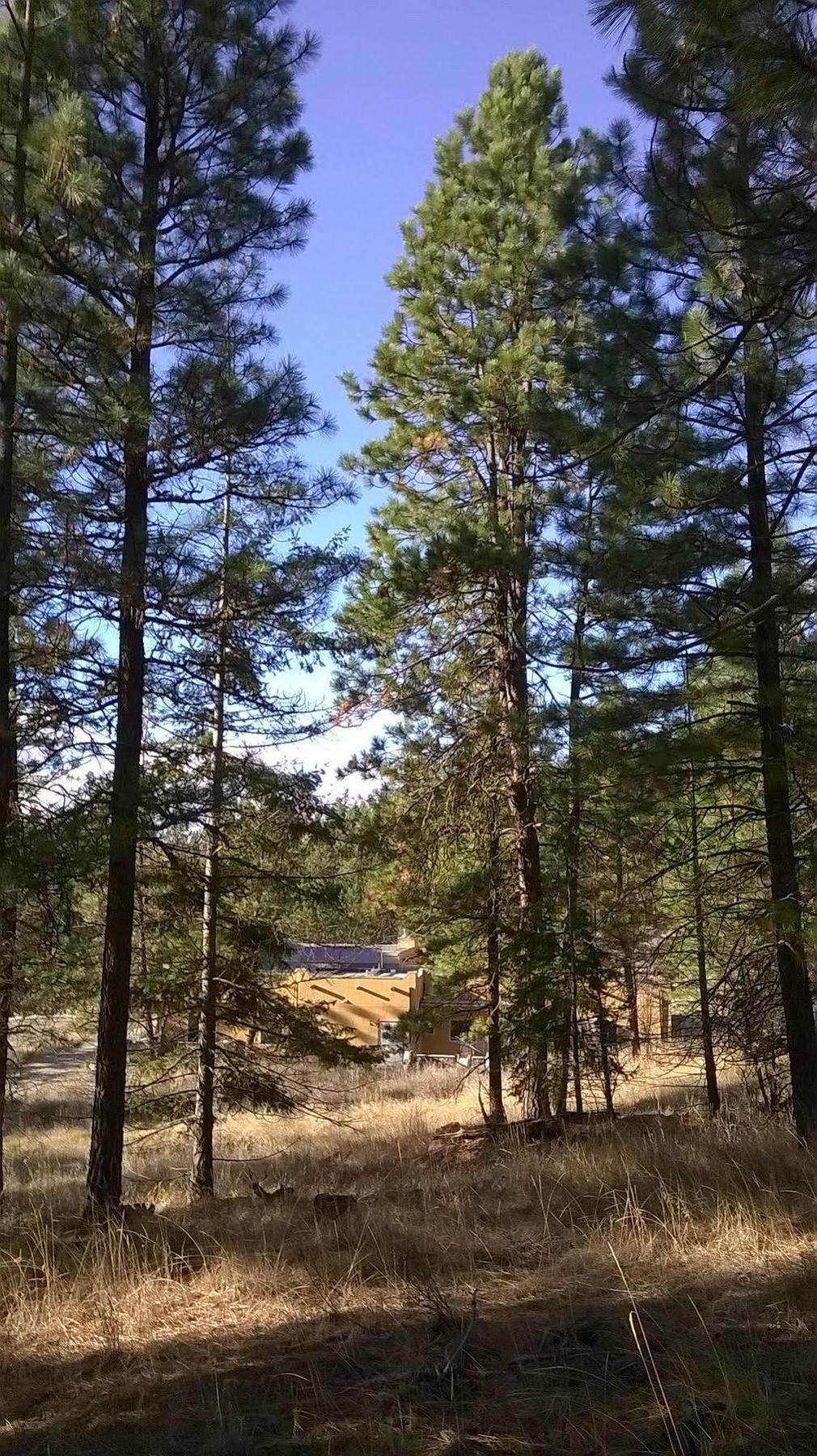 Baergnaescht B&B Osoyoos Bagian luar foto